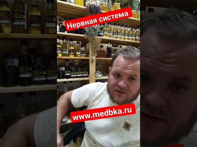 нервная система /www.medbka.ru /. Травник Медовик /  Павел Литовкин