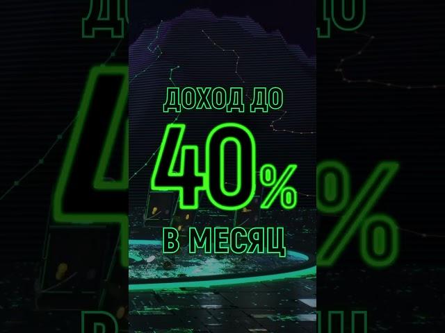 монета Umi