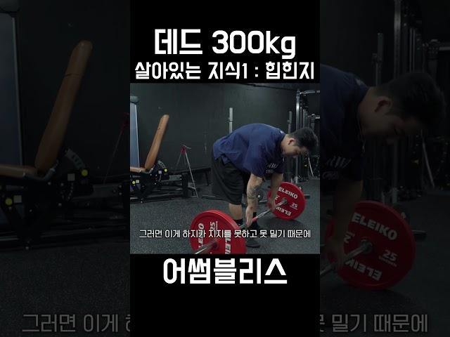데드리프트 300kg의 노하우1 "힙힌지" (feat.터질라)
