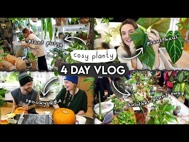 Plant Purge, HAUL + 4 Days of Cosy Plant Chores