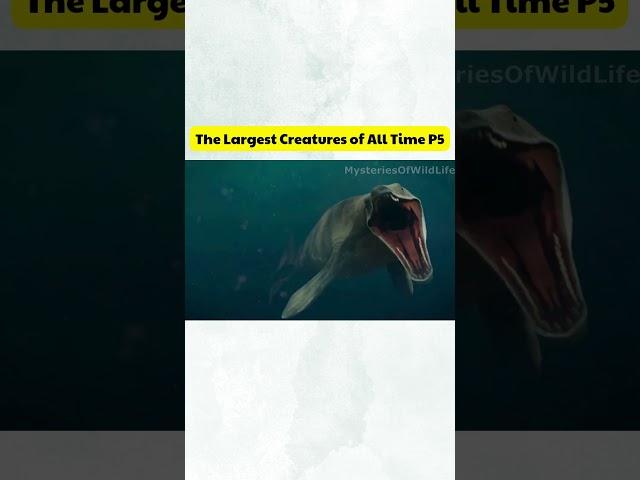 Mosasaurus – The King of the Cretaceous Seas #shorts #shortvideo #mosasaurus #facts