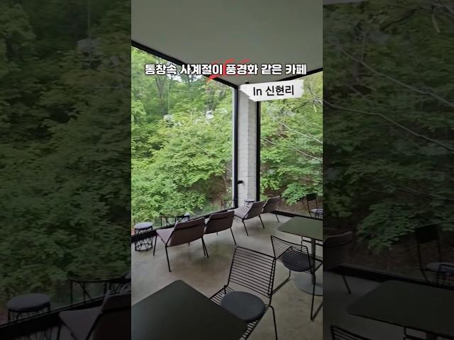사계절을 그대로 액자에 담은 풍경화카페 ️봄에 꽃필때  여름에 초록초록할때가을에 단풍들때 ️겨울에 눈올때 사계절내내 예쁜카페