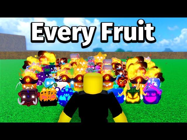 Getting Every Blox Fruit in 24 Hours!