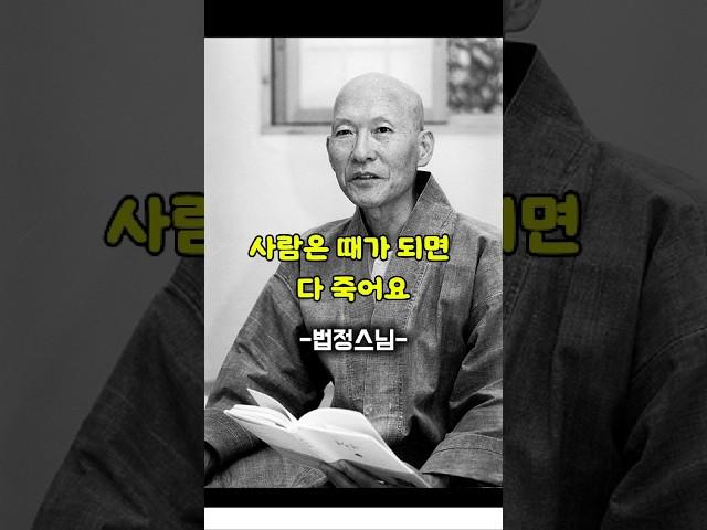 사람은 때가 되면 다 죽어요 법정스님 법문 #법정스님 #명언 #음성법공양 #삶 #죽음