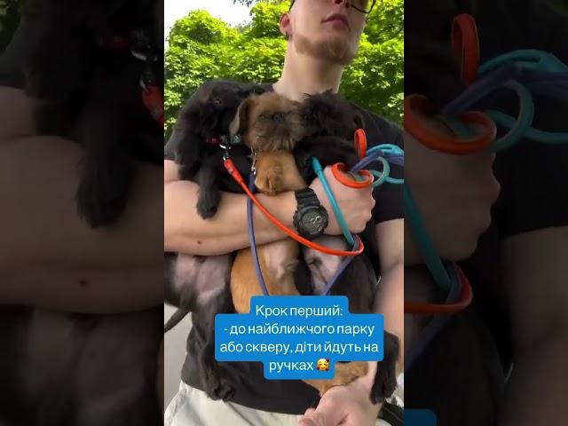 Знайомство з Світом #грифон #pets