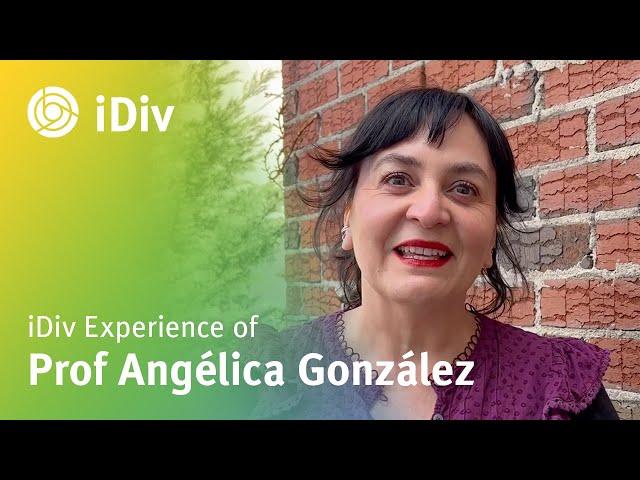 iDiv experience of Prof Angélica González