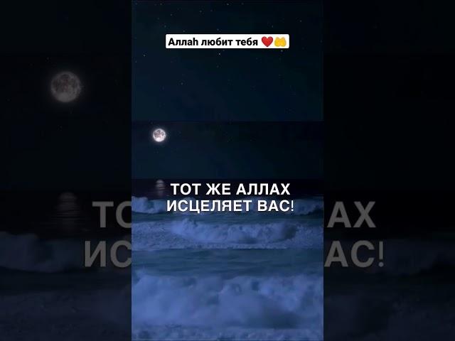 Аллаh любит вас так сильно️