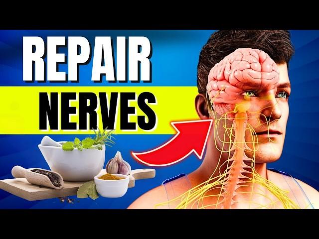 10 HERBS That Can Miraculously Heal Nerve Damage