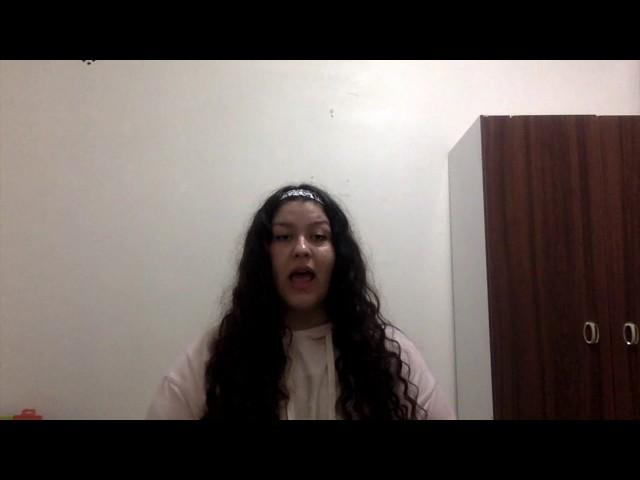 Leyla N Yildirim Oral Presentation