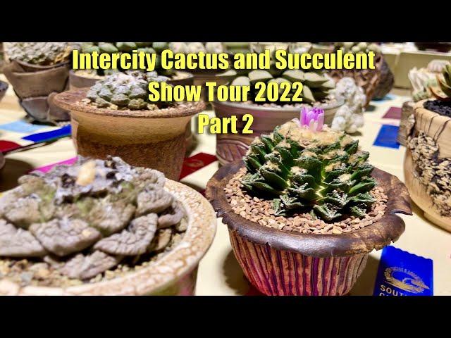 Part 2: 2022 Intercity Cactus and Succulent Show Tour