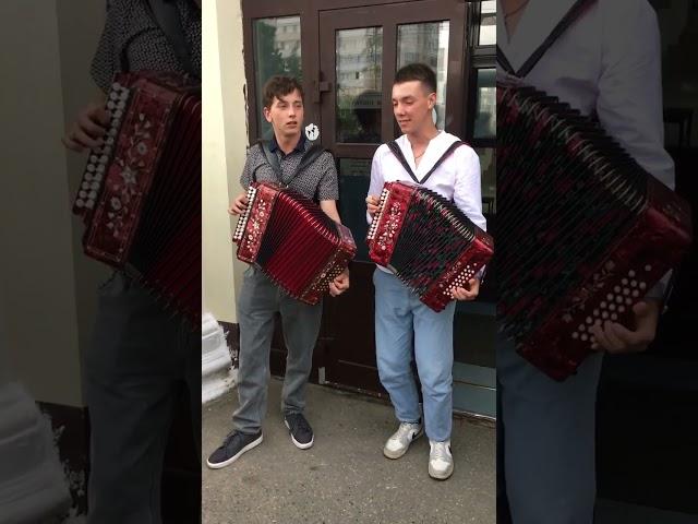 В две гармошки #гармонь #песня