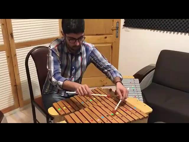 Neynava , a masterpiece by maestro Hossein Alizadeh, Xylophon player: Pouya Saraei