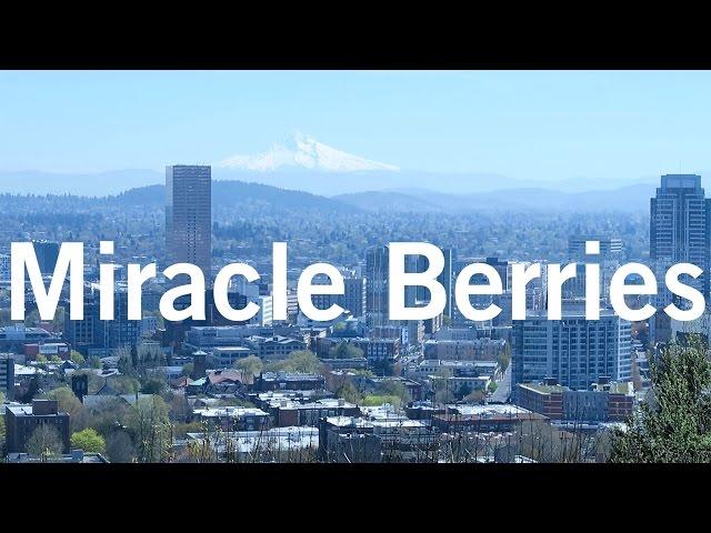 Trying Miracle Berries for the First Time | Location Rebel