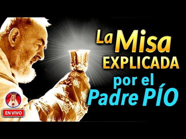 La MISA explicada por el PADRE PÍO | Charla de Formación en VIVO