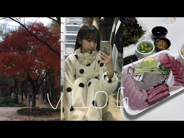 VLOG. 방어의 계절이 왔다 ️ | 겨울 신발, 잠옷 개시 | 임영웅 콘서트로 대리 효도하기 | 겨울 피부관리 | 편집 공장 | 대학생 자취 일상 브이로그