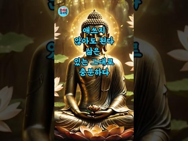 애쓰지 않아도 된다. 삶은 있는 그대로 충분하다 #부처님말씀 #명언 #자기수행