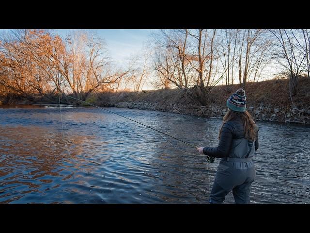 I Fished this City for Brown and Rainbow Trout (Fly Fishing Boise River)