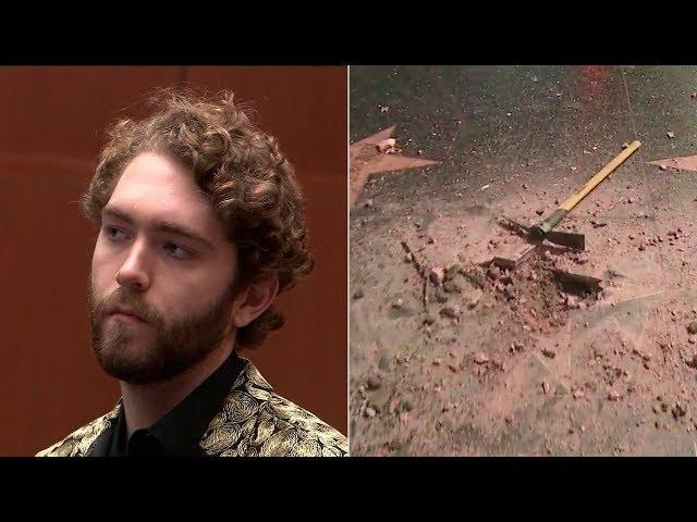 VIDEO: Suspect pleads not guilty to destroying Trump's Walk of Fame star | ABC7