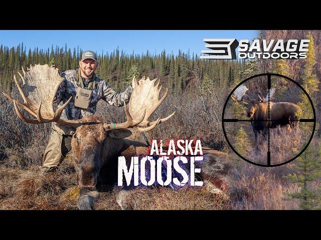 ALASKAN MOOSE HUNT!!