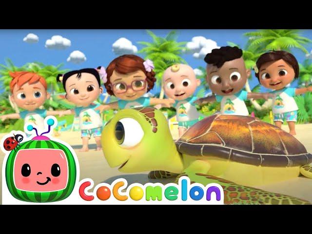 Sea Animal Song | Life at Sea | Kids Ocean Learning | Toddler Show | Cocomelon