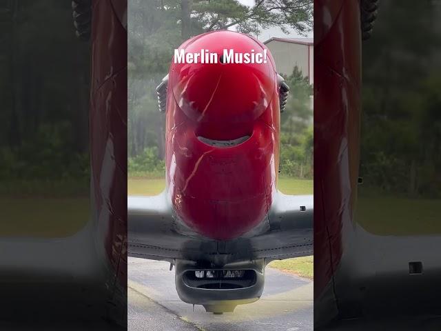 Enjoy unedited Merlin music courtesy of the CAF Airbase Georgia's P-51 Mustang. Sound on!! #avgeeks