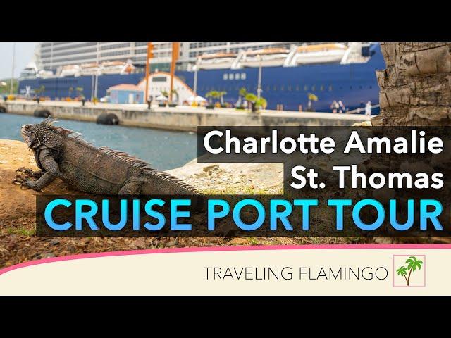  What to do in Charlotte Amalie St. Thomas Cruise Port! - Crown Bay Cruise Port Review