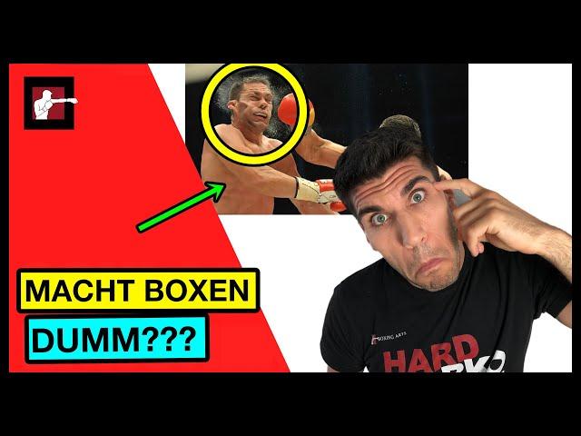 Boxen macht dumm: Stimmt das wirklich?