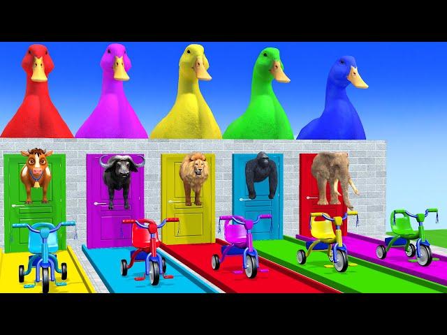 Long Slide Game With Elephant Gorilla Buffalo Hippopotamus Tiger 3d Animal Game Funny 3d Animals