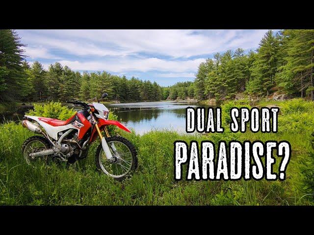 CRF250L|Dual Sport Paradise? Riding Muskoka