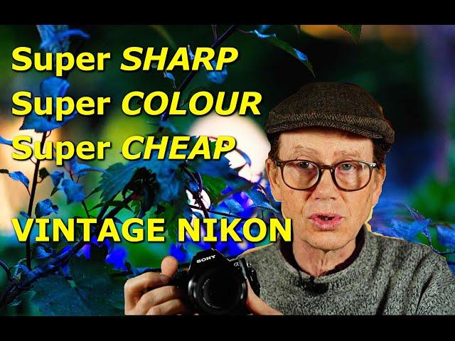 So Sharp You'll Cut Yourself! Super Sharp VINTAGE NIKKOR!