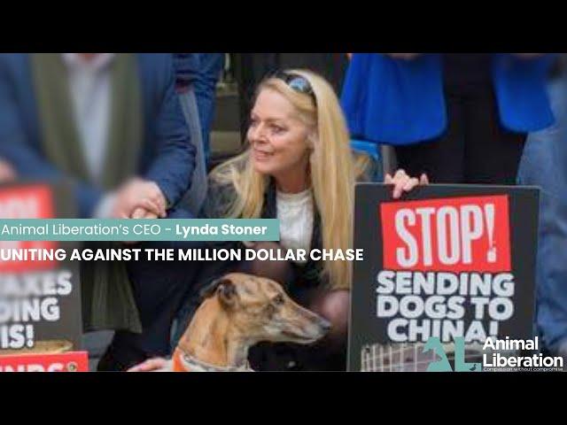 Uniting against the Million Dollar Chase - Animal Liberation's CEO, Lynda Stoner.