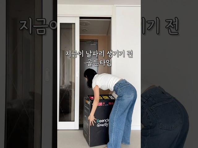 지금이 날파리 생기기 전 골든타임