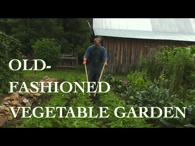 The Vegetable Garden - The FHC Show, ep 16