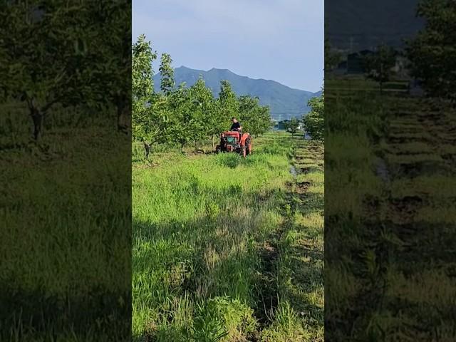 고장난 트랙터를 그리워하며...이제는 경운기의 삶을...
