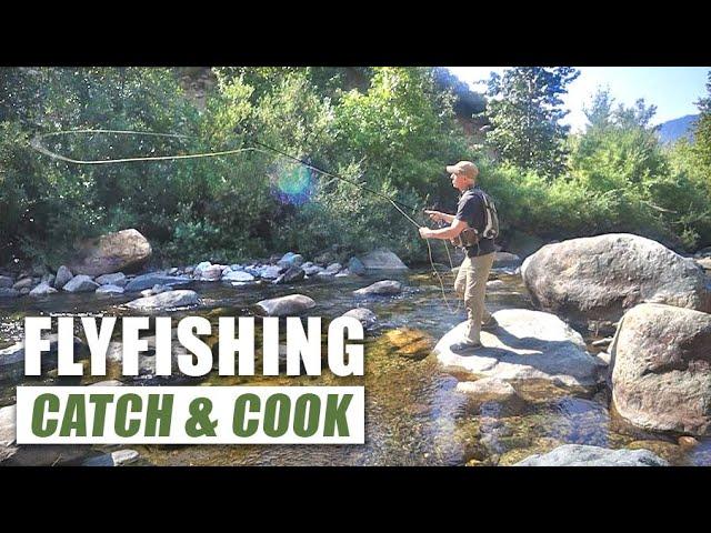 Fly Fishing | Trout Tacos | WILD Blackberry Pancakes | Boondock Camp!