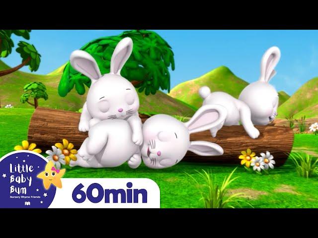 Sleeping Bunnies +More Nursery Rhymes and Kids Songs | Little Baby Bum