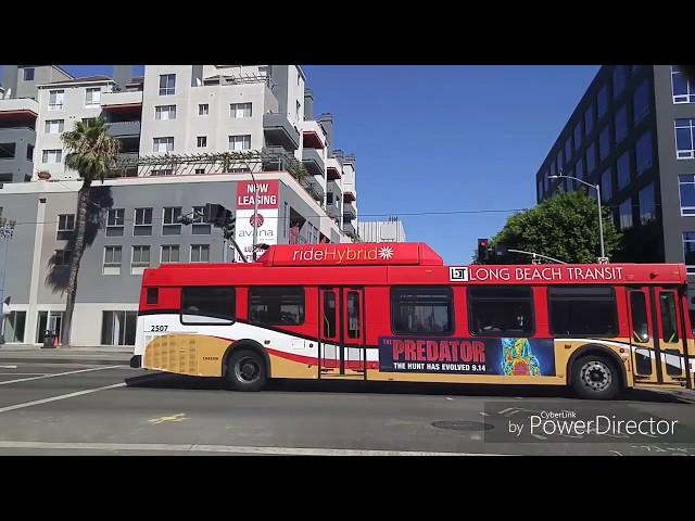 Driving by Long Beach,California