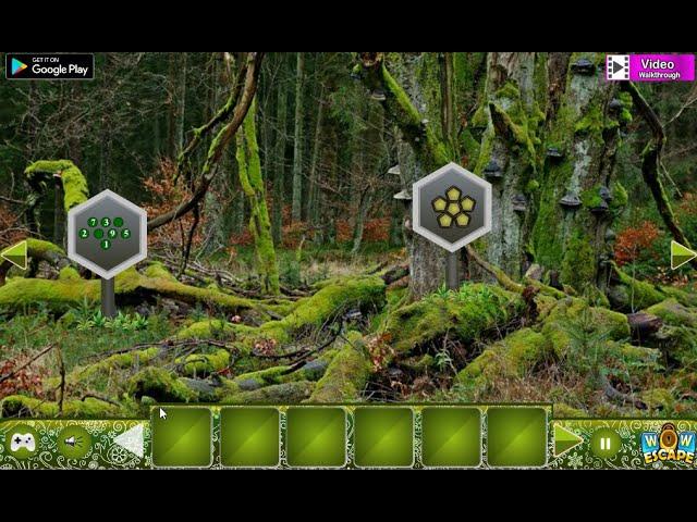 Wow Parky Forest Escape Walkthrough [WowEscape]