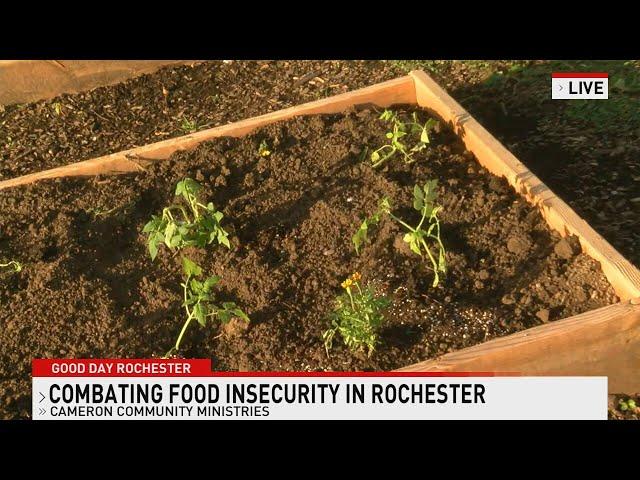 ARC Rochester 5-28-25 (Food Not Bombs)