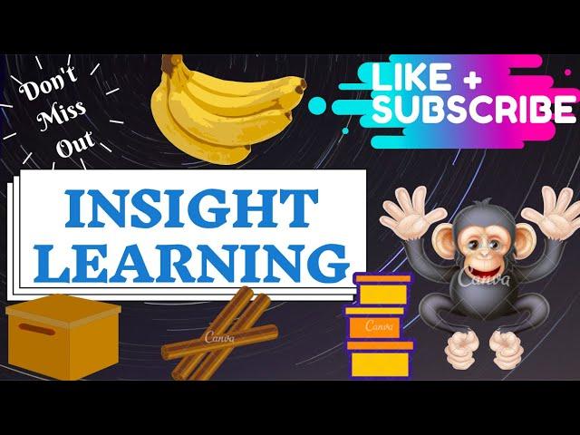 Clinical Psychology: Insight Learning | Kohler Theory of learning explained | Learn basic Psychology