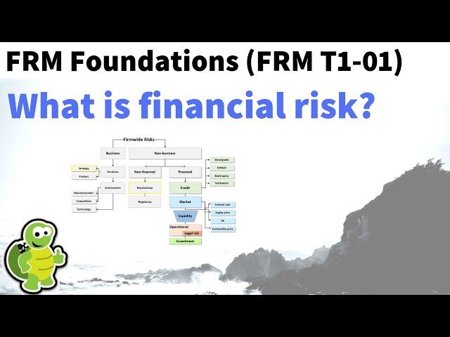 What is financial risk? FRM Foundations (T1-01)