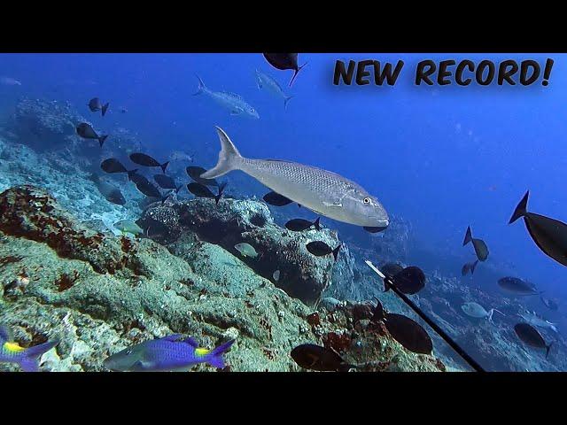 Breaking the RECORD for BIGGEST UKU on the 3 Prong! - Spearfishing Hawaii