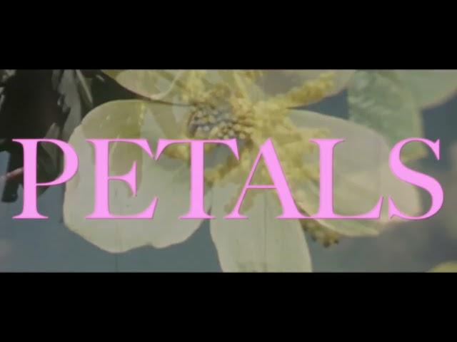 VOILÀ - Petals (Official Lyric Video)