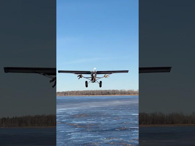 Trapping Wolves with the Patina Cub #backcountryflying #bushplane