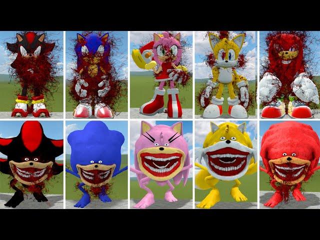 EVOLUTION OF NEW MUTANT ANIMALS FROM ZOOCHOSIS SONIC THE TAPES FAMILY In Garry's Mod!