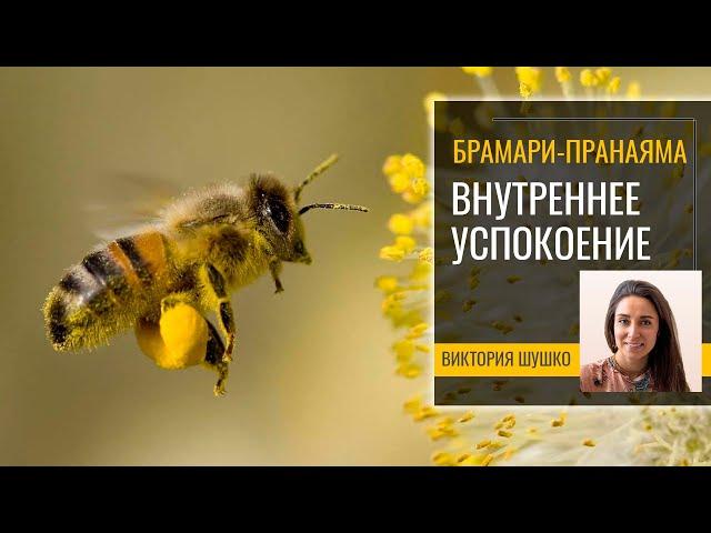 Пранаяма Брамари — обретение успокоения ума, стрессоустойчивости и внутренней гармонии