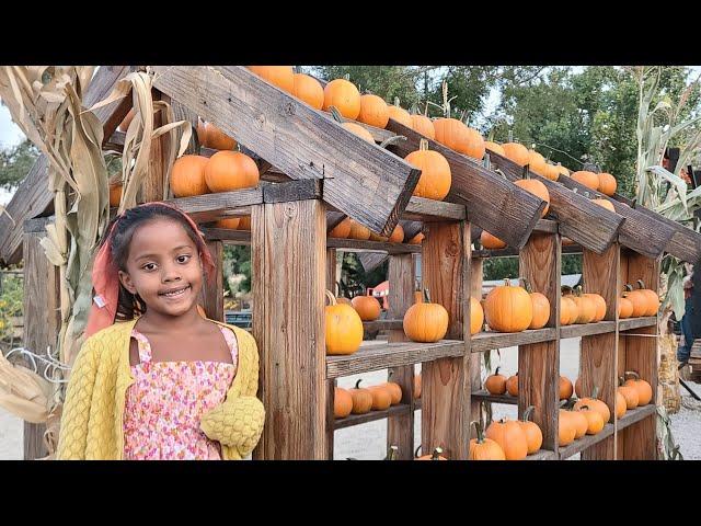 Greenspot Farm Mentone California Pumpkin Patch