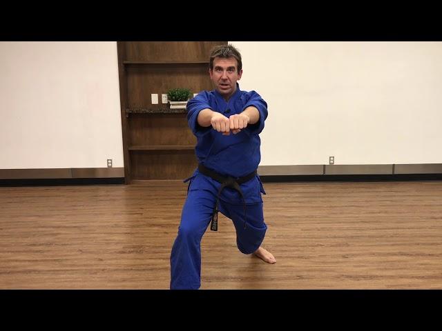 Shotokan Karate - Jiyu Ippon #1 Chudan (Stomach Punch) by Paul Gale Network