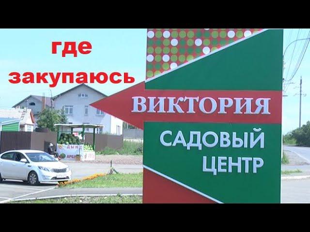 Где закупаюсь + советы начинающим клубничникам