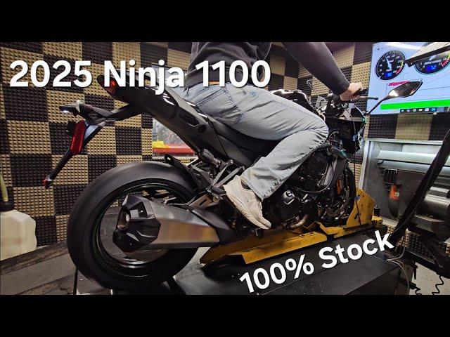 2025 Ninja 1100 Initial Impressions & Stock Performance Analysis